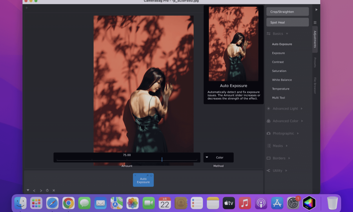 CameraBag Pro for Mac v2026.0 专业的视频照片滤镜软件