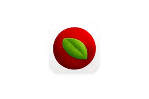 Lingon Pro for Mac v10.1.4 自动化管理工具
