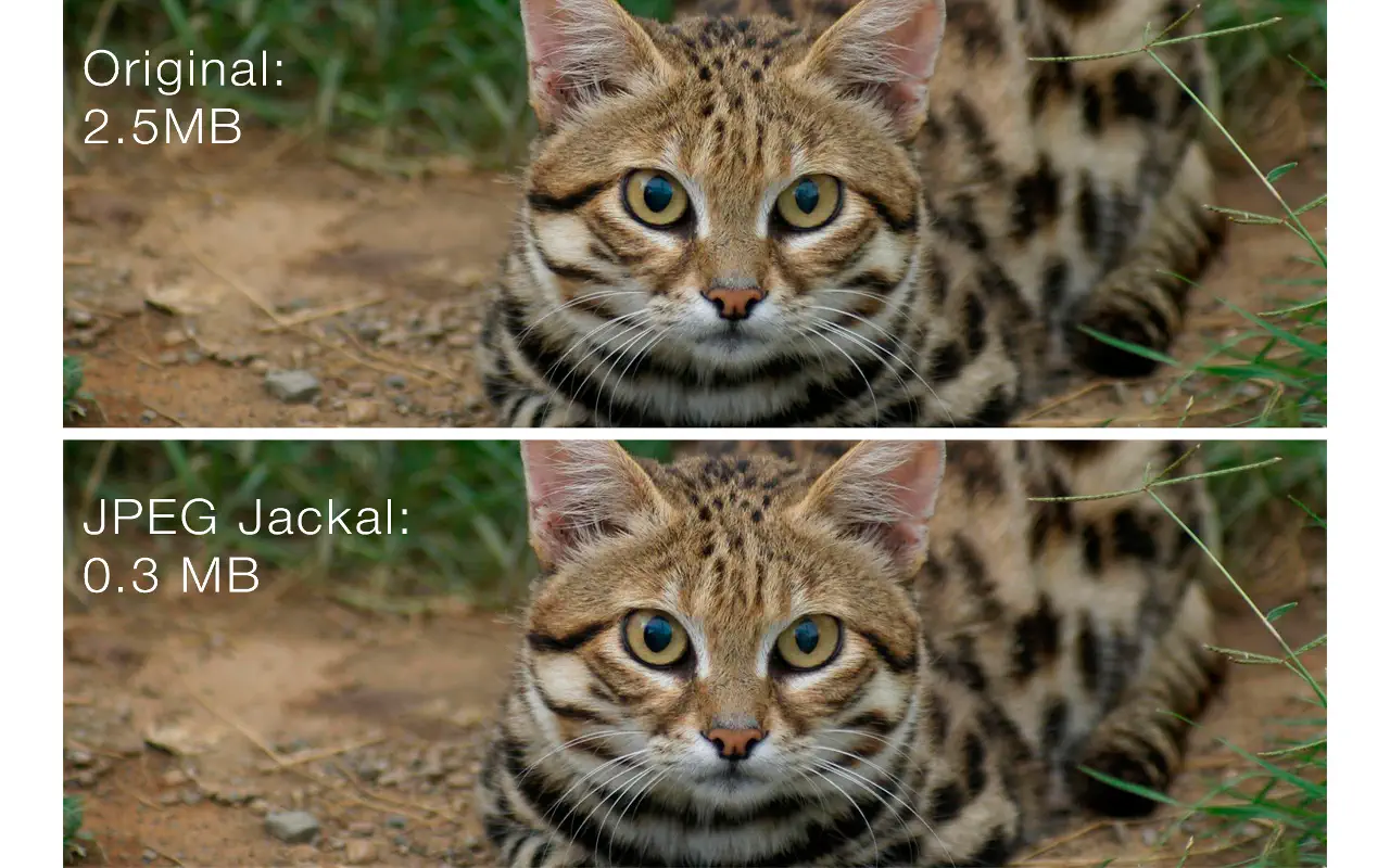 JPEG Jackal for Mac v3.0 JPEG图片压缩工具 JPEG Jackal for Mac v3.0 JPEG图片压缩工具
