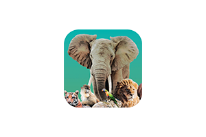 方舟动物园 Ark Nova for Mac v1.2.0.920 中文原生版